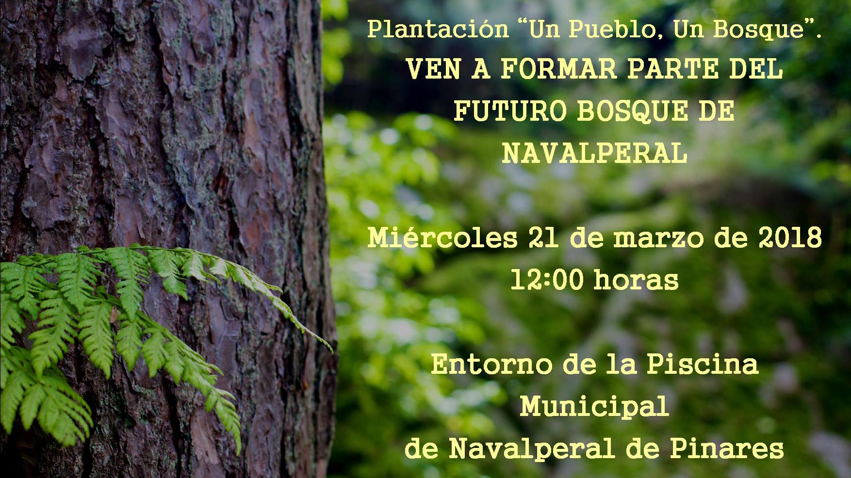 El proyecto “Un pueblo, un bosque” realiza su plantación en Navalperal de Pinares
