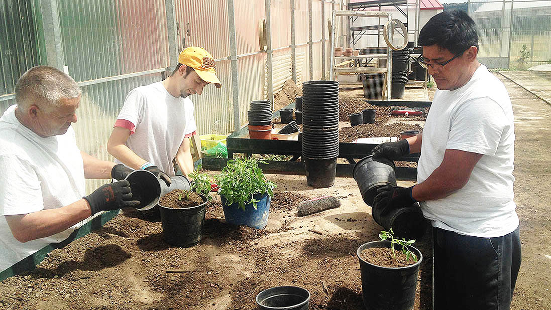 Primeros resultados del curso de “Auxiliar de viveros, jardines y centros de jardinería”