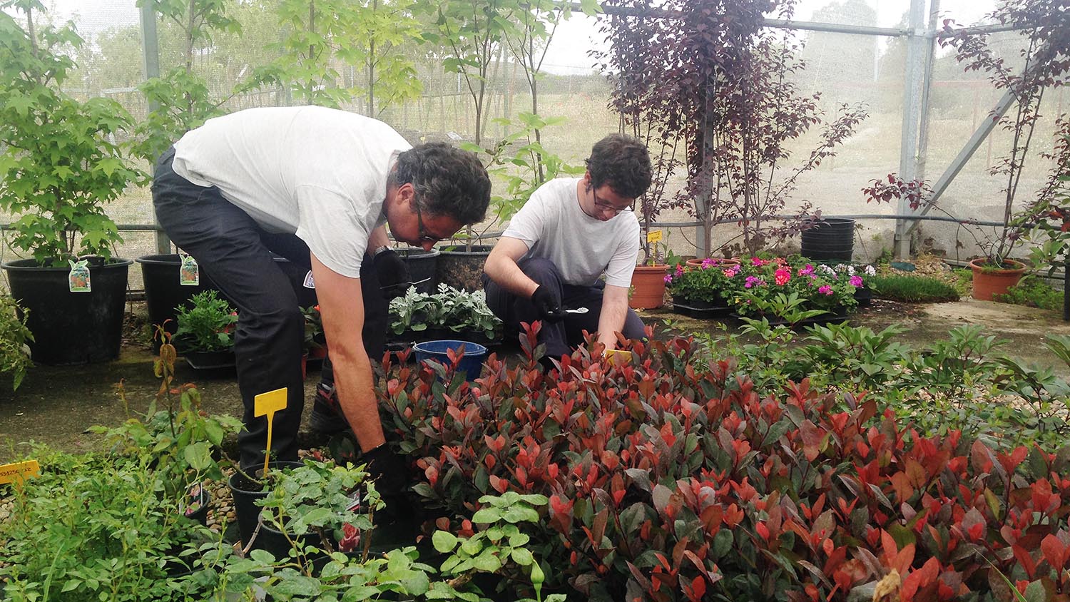 Fundabem organiza un curso de instalación y mantenimiento de jardines y zonas verdes