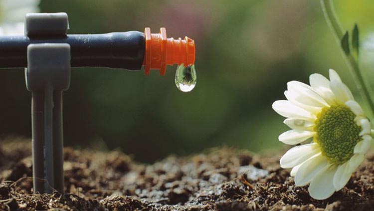 Aprendiendo en el Vivero Laldea de Fundabem: La eficiencia del riego