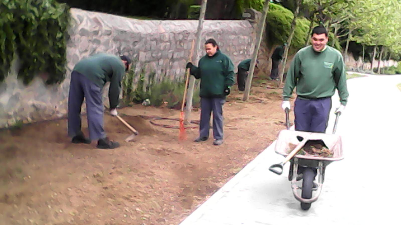 Centro para la promoción de la autonomía laboral e inserción sociolaboral “Fundabem-Ávila”