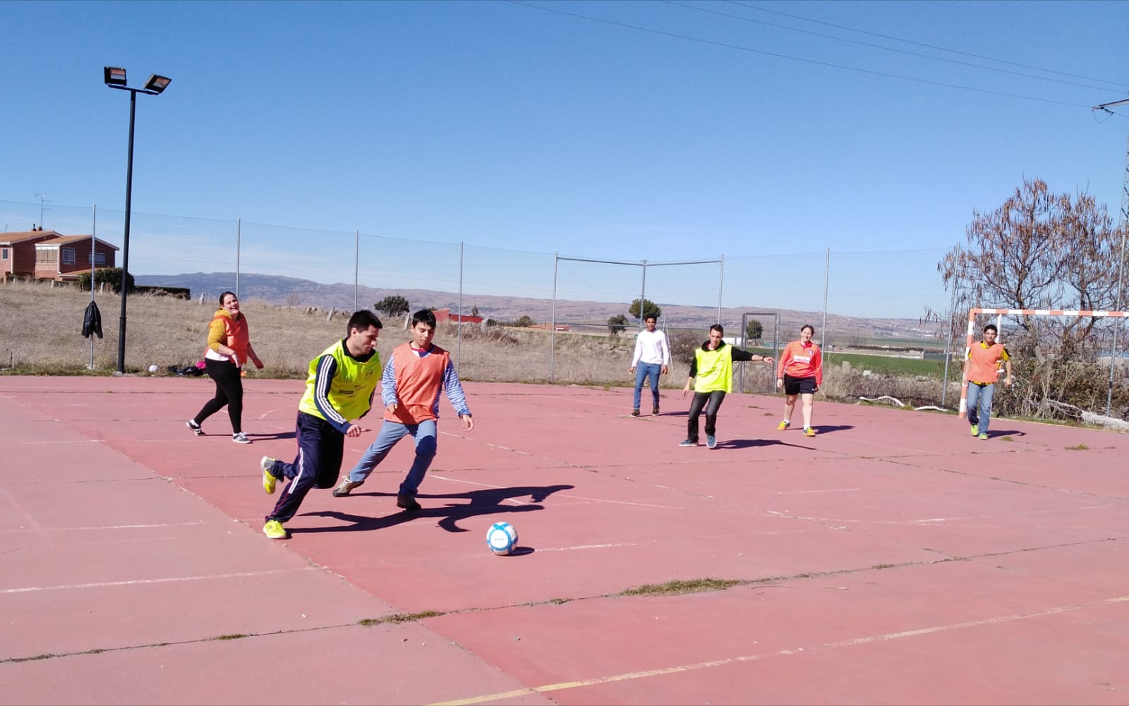 Actividad física alumnos F.P.B