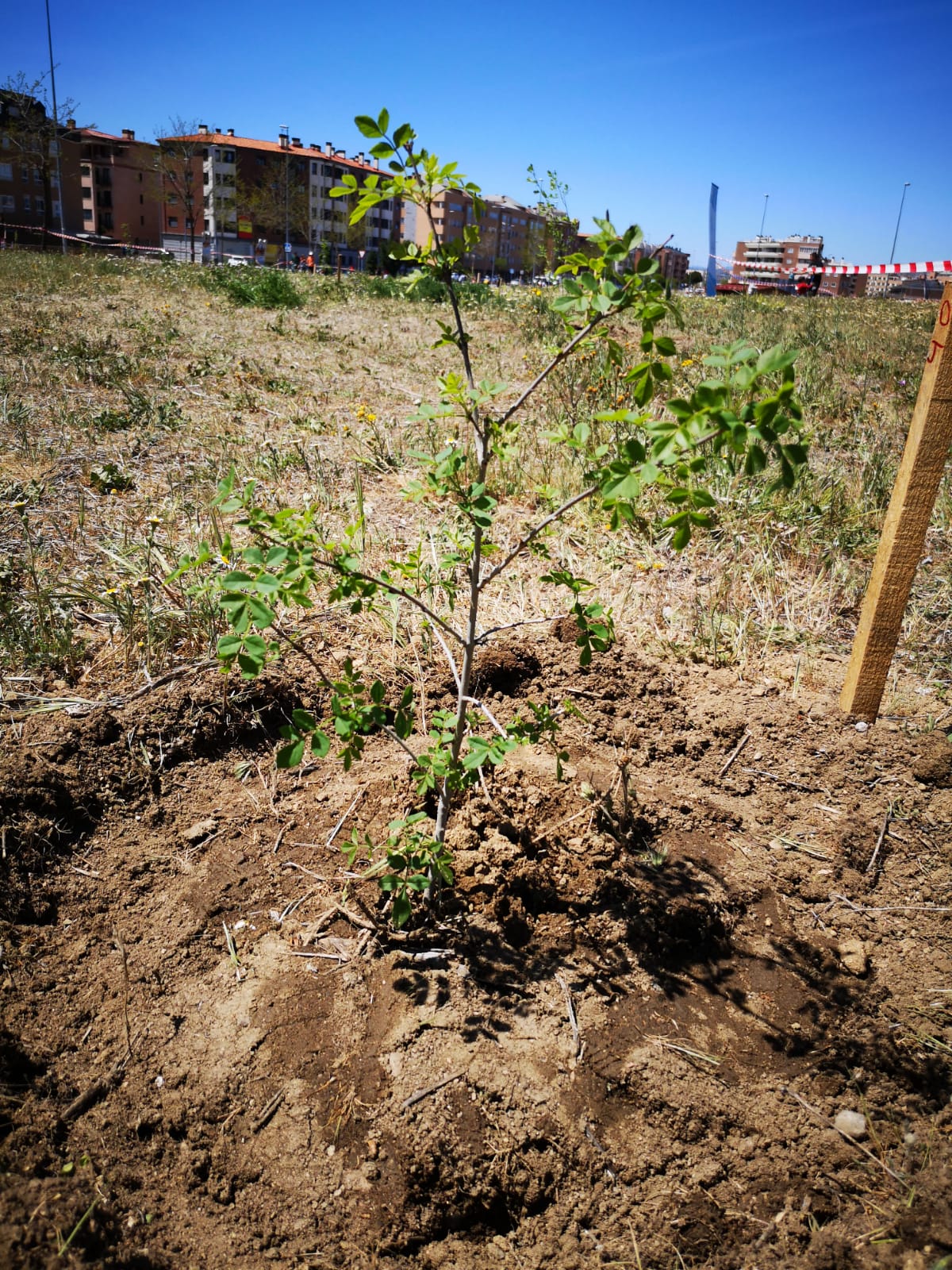 Plantación 11 de Mayo, Un pueblo, un bosque Galería de fotos