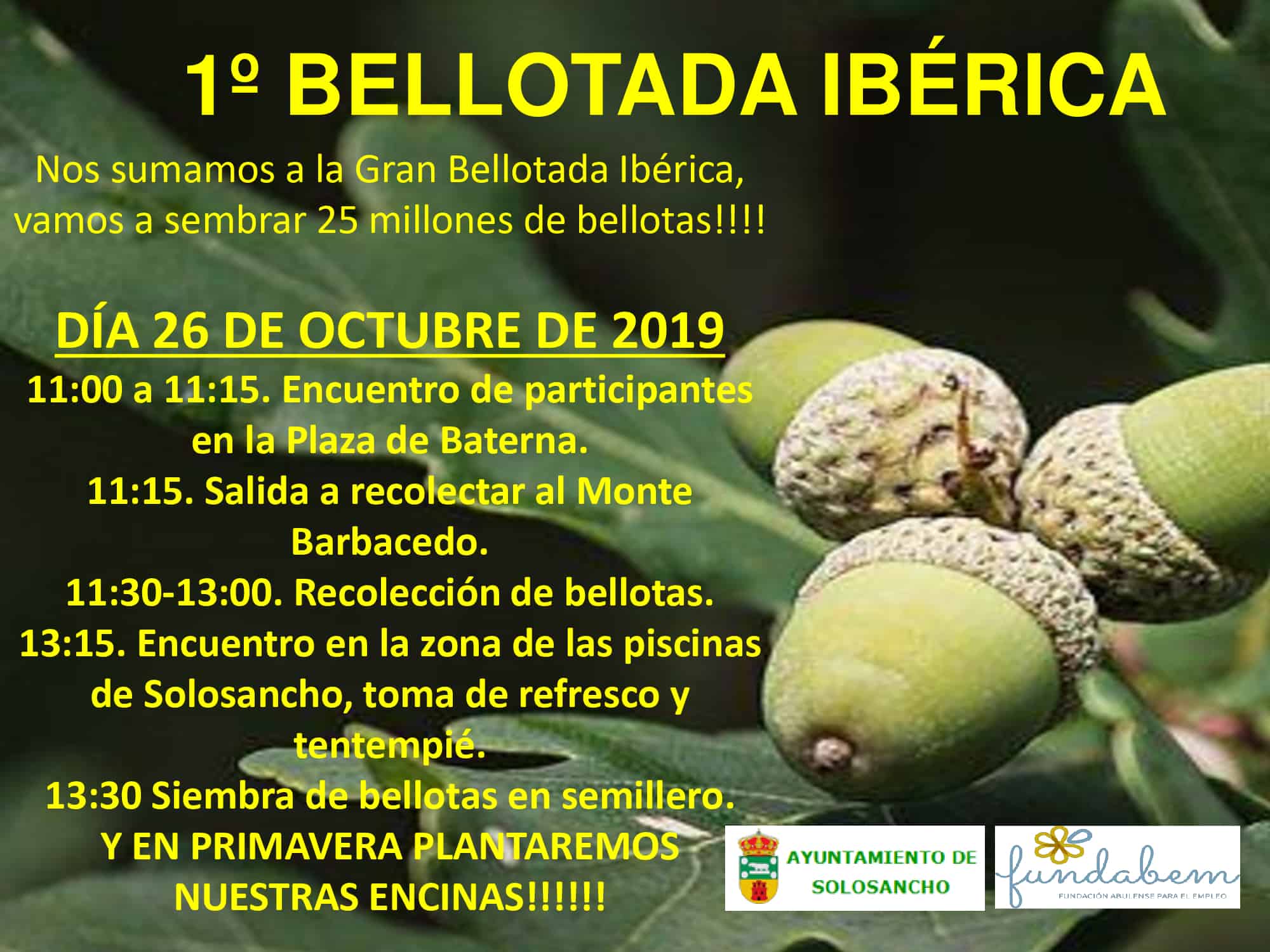 El día 26 de Octubre se celebrará en el Ayuntamiento de Solosancho la 1º Bellotada Ibérica.?