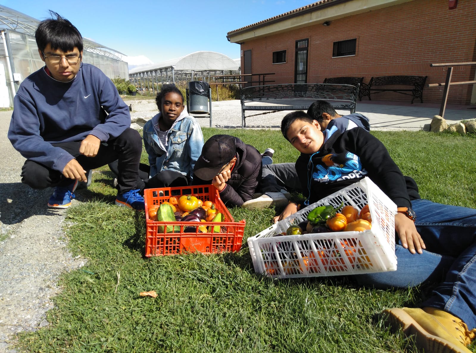 Recogemos los frutos de nuestro huerto. ¡Qué gran satisfacción poder recoger lo que sembramos!????