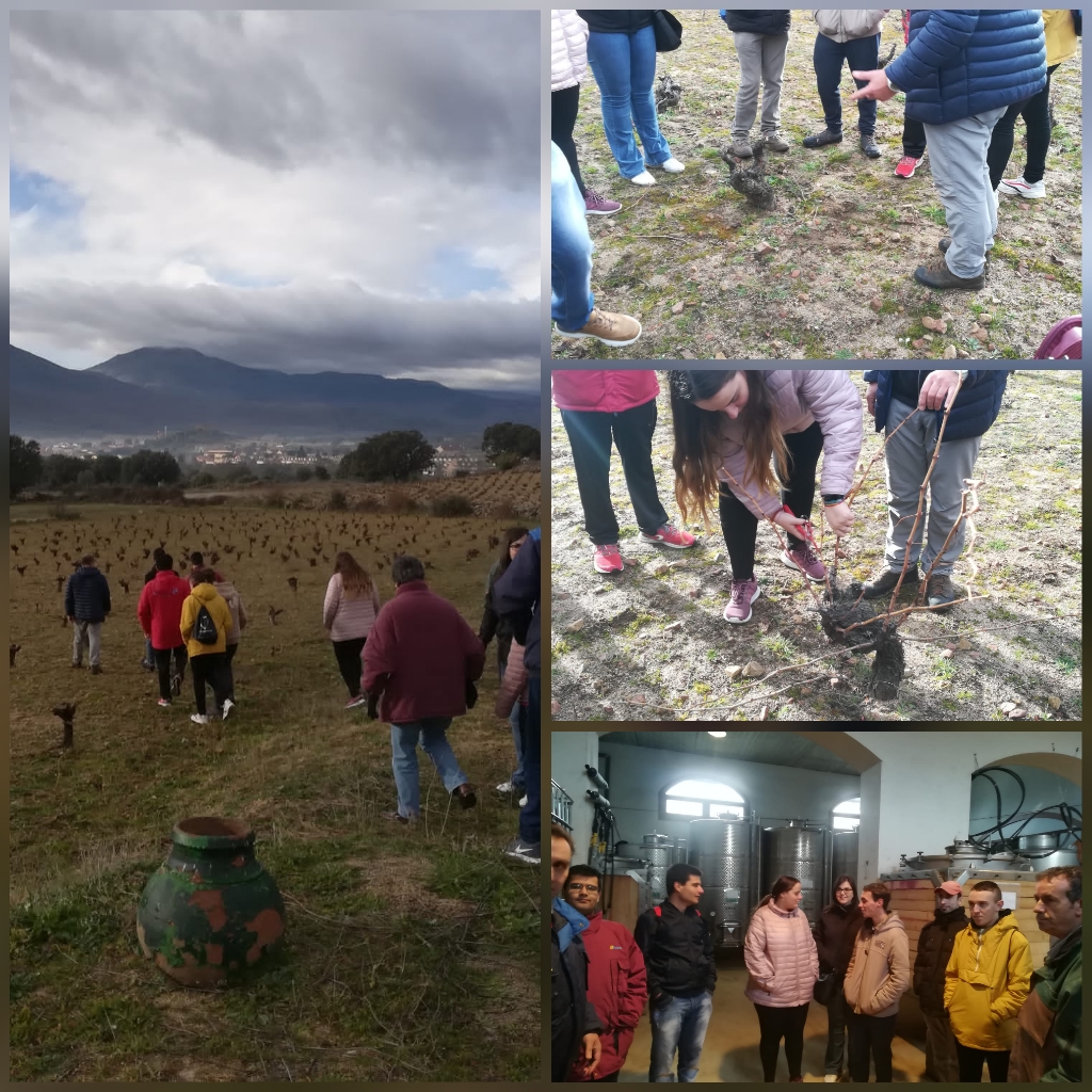 Visitamos la Bodega Garnacha 7 Navas