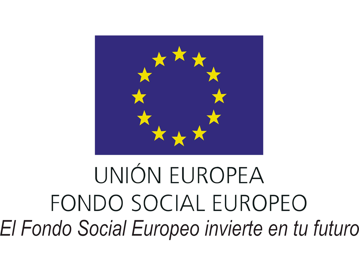 Convocadas las subvenciones cofinanciadas por el Fondo Social Europeo y dirigidas a entidades locales de Castilla y León para la contratación temporal de personas con discapacidad