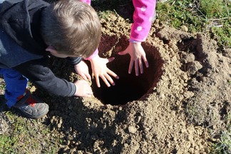 El próximo día 24 de Abril se realizará una plantación en Riofrío Desde las 10:00h-14:00h.