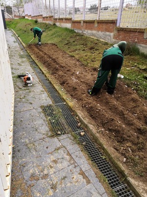 El pasado viernes se realizaron los trabajos para el huerto ecológico en el Ceipelpradillo Ceipelpradillo